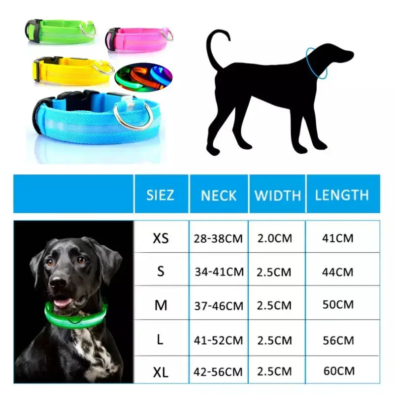 LED Luminous Collar Adjustable Glowing Dog Collar USB Rechargea  Flashing Anti-Lost/Avoid Car Accident Collar Dogs Pet Products