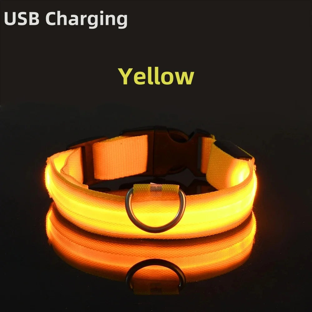 LED Luminous Collar Adjustable Glowing Dog Collar USB Rechargea  Flashing Anti-Lost/Avoid Car Accident Collar Dogs Pet Products