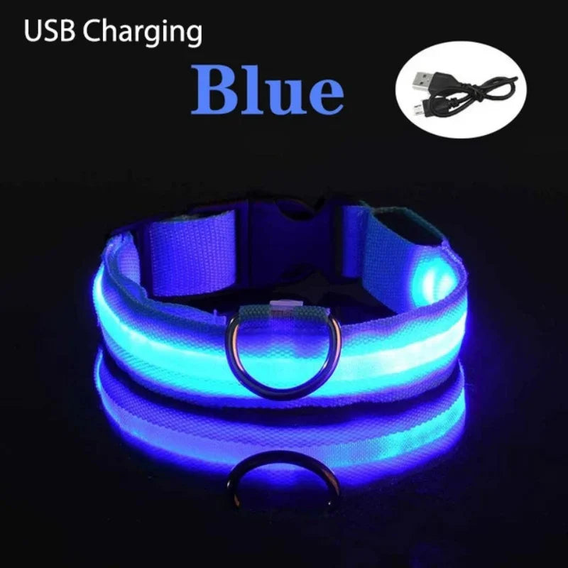 LED Luminous Collar Adjustable Glowing Dog Collar USB Rechargea  Flashing Anti-Lost/Avoid Car Accident Collar Dogs Pet Products