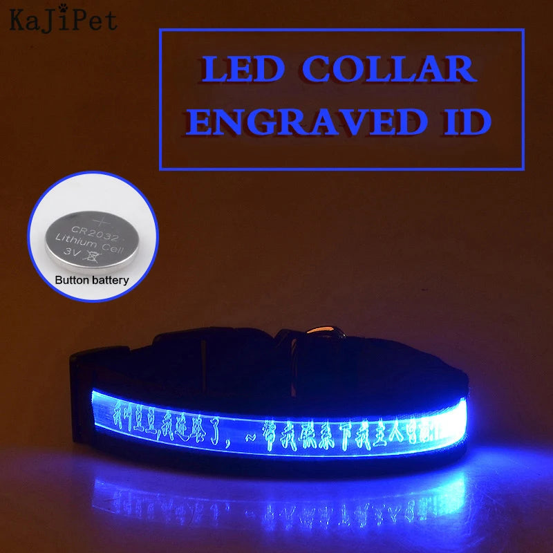 Engraved ID LED Dog Collar Luminous USB Custom Dog Tag Personalized Nylon Pet Dog Collar Led USB Light Night Safety Collar Perro