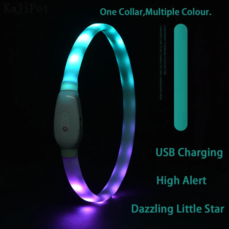 Dog Collar LED Light USB Discoloration Luminous Collar Perro Luz Led Dog Collar Flashing Rechargeable Glowing Collar For Dog Pet