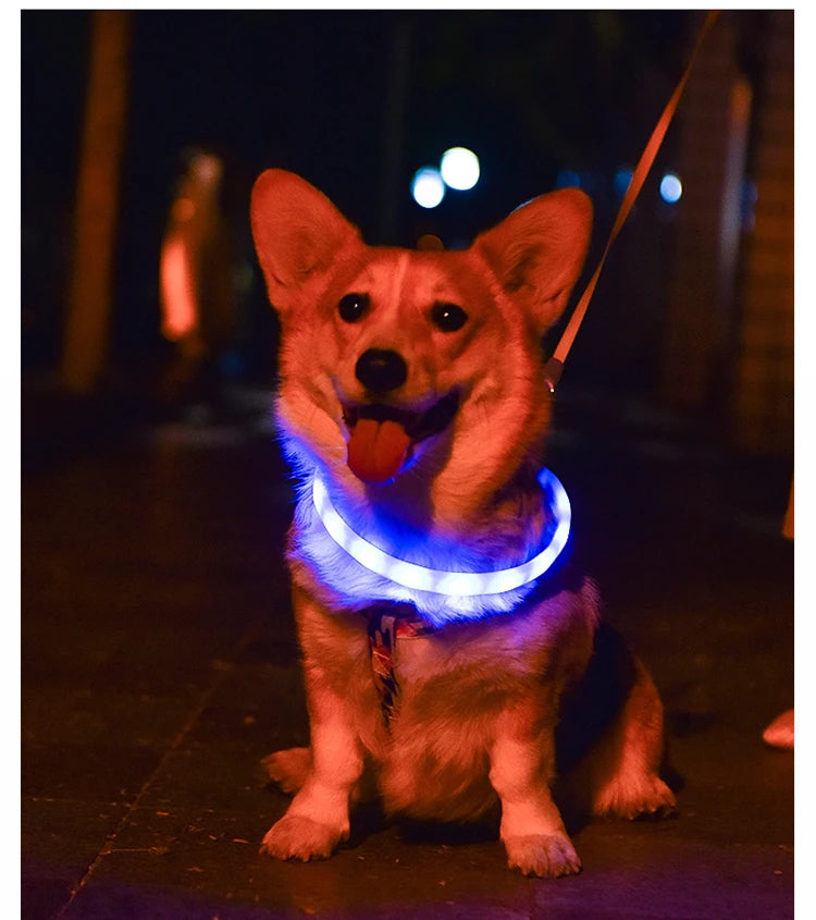 Dog Collar LED Light USB Discoloration Luminous Collar Perro Luz Led Dog Collar Flashing Rechargeable Glowing Collar For Dog Pet