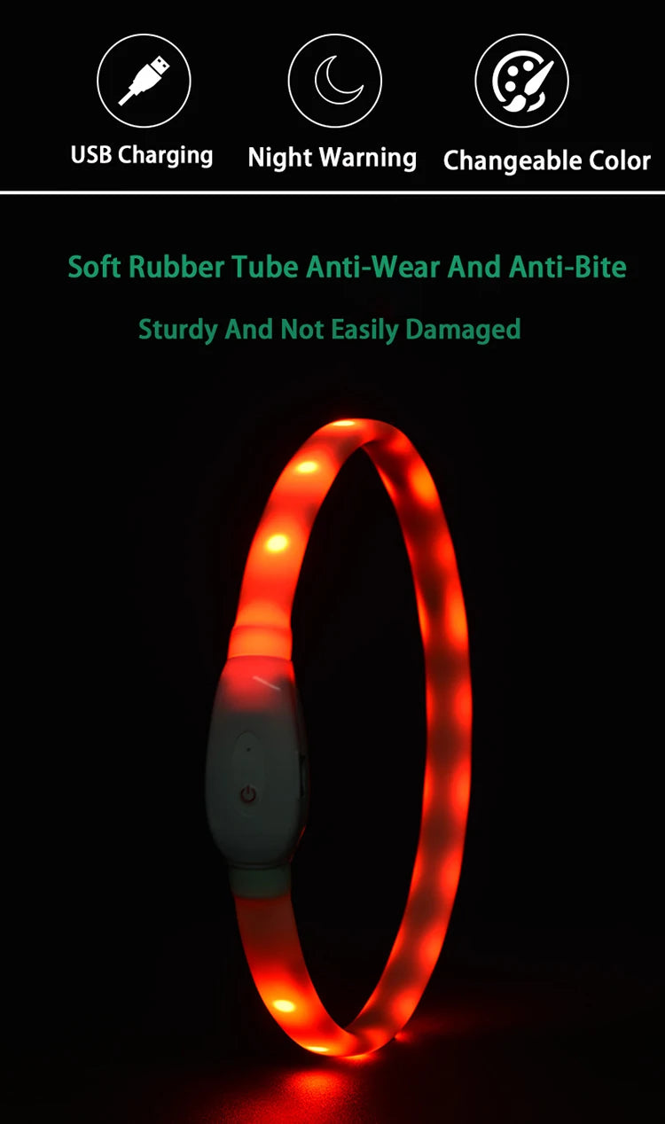 Dog Collar LED Light USB Discoloration Luminous Collar Perro Luz Led Dog Collar Flashing Rechargeable Glowing Collar For Dog Pet