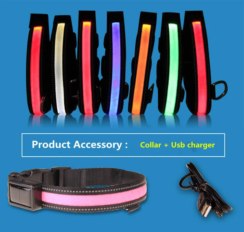Solar Charging Led Dog Collar USB Rechargeable Night Safety Collar Perro Led Usb Adjustable Pet Led Dog Collar Light Usb Glowing