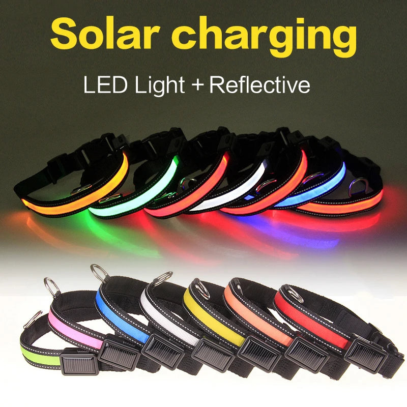 Solar Charging Led Dog Collar USB Rechargeable Night Safety Collar Perro Led Usb Adjustable Pet Led Dog Collar Light Usb Glowing
