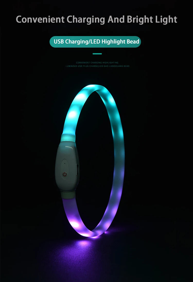 Dog Collar LED Light USB Discoloration Luminous Collar Perro Luz Led Dog Collar Flashing Rechargeable Glowing Collar For Dog Pet