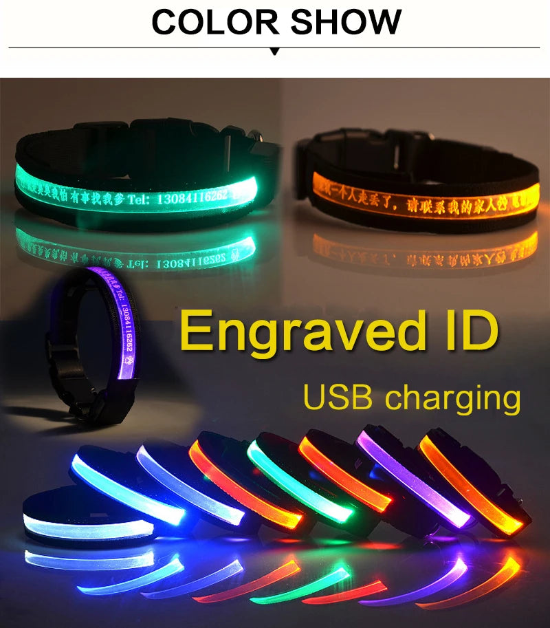 Engraved ID LED Dog Collar Luminous USB Custom Dog Tag Personalized Nylon Pet Dog Collar Led USB Light Night Safety Collar Perro