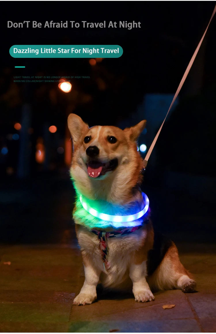 Dog Collar LED Light USB Discoloration Luminous Collar Perro Luz Led Dog Collar Flashing Rechargeable Glowing Collar For Dog Pet