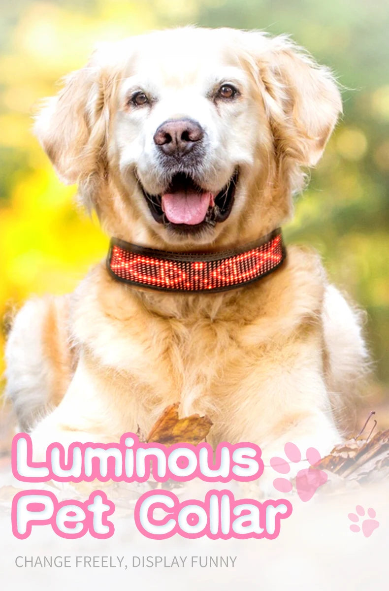 Free Size Adjustable Luminous LED Pet Collar Waterproof LED Light up Safety Dog Collar Programmable LED Display Dog Collars