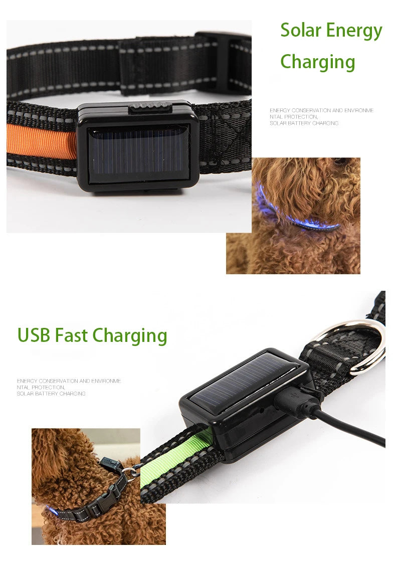 Solar Charging Led Dog Collar USB Rechargeable Night Safety Collar Perro Led Usb Adjustable Pet Led Dog Collar Light Usb Glowing