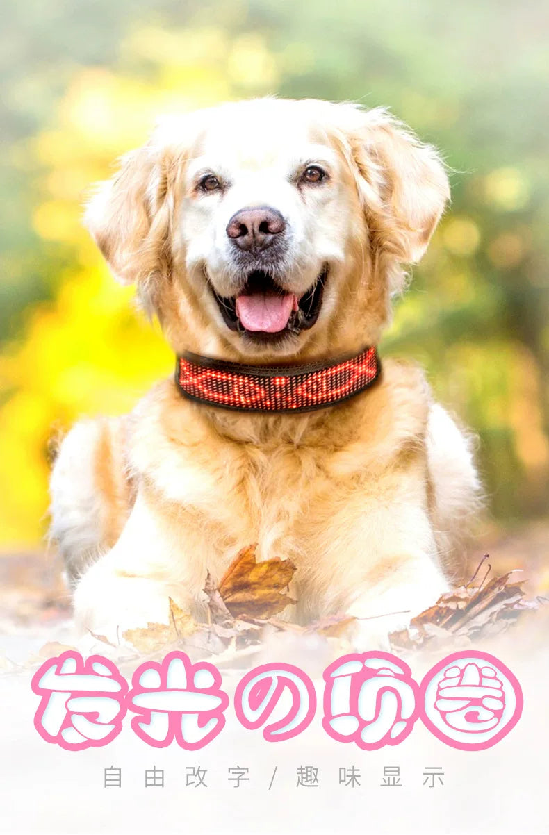 LED Light-Up Pet Dog Safety Collar Soft Personalized Glow-in-the-Dark Neck Loop with Programmable Flashing LED Animal Pattern