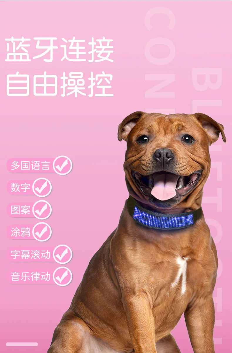 LED Light-Up Pet Dog Safety Collar Soft Personalized Glow-in-the-Dark Neck Loop with Programmable Flashing LED Animal Pattern