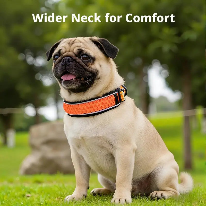 Dog Collar Nylon LED Night Safety Flashing Glow In The Dark Pet Dog Leash pet Dogs Luminous Fluorescent dog accessories collar