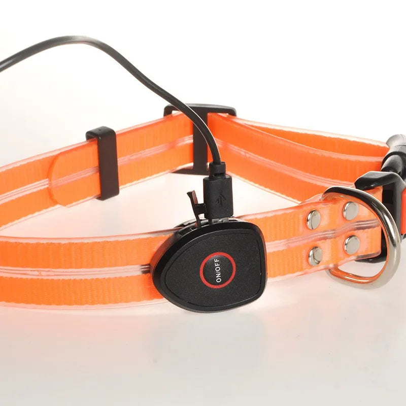 New Adjustable Led Glowing Pet Dog Collar PVC Waterproof  Anti Dirty Easy To Clean for Big Small Dogs Puppy Cat Luminous Collar