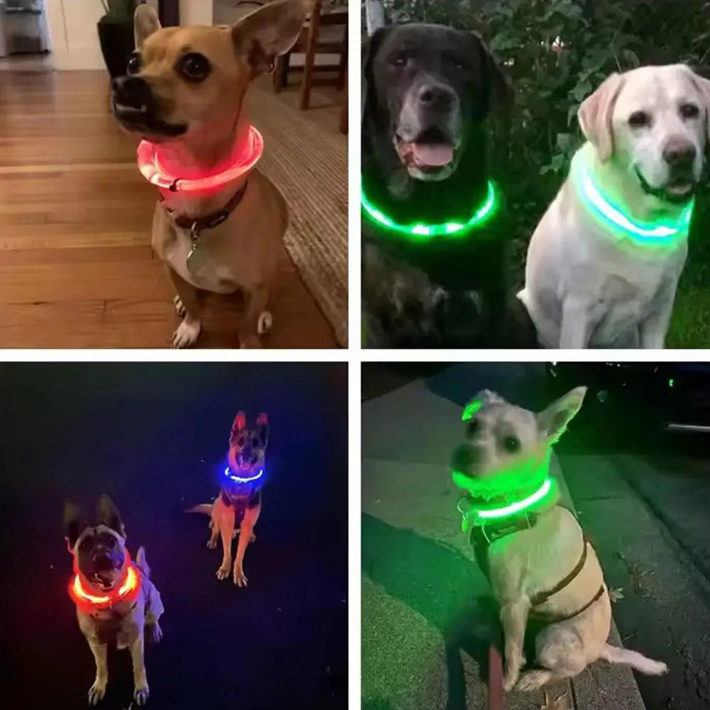 Pet Dog LED Light Collar Luminous Anti-Lost Dog Collar USB Rechargeable Dog Necklace Adjustable Collar Pet Safety Supplies