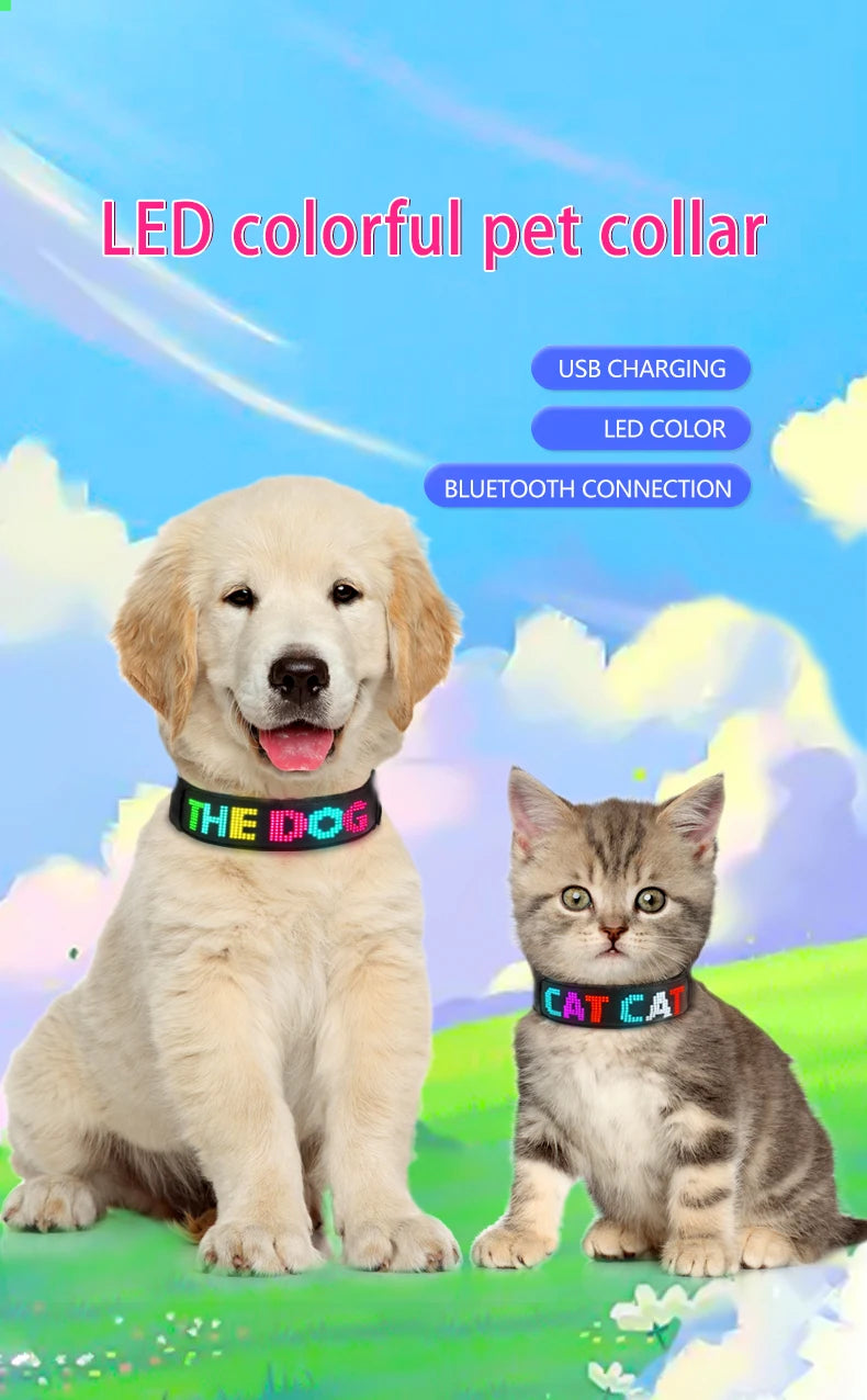 RGB Color LED Collar with Programmable LED Screen Scrolling Customized Text Animations Rechargeable Glowing LED Pet Dog Collars