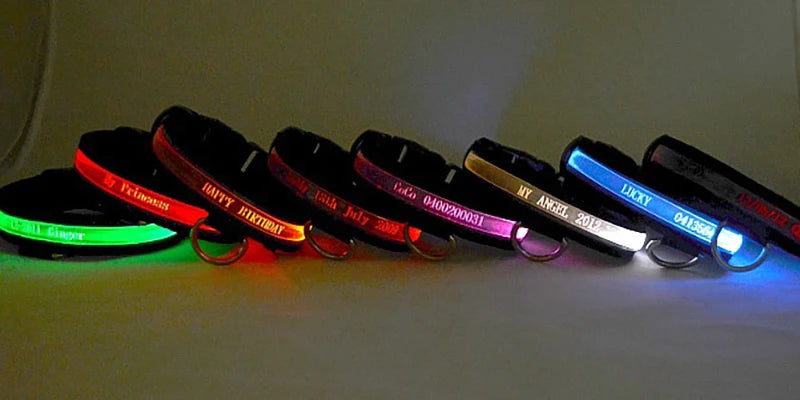 Dog Collars Personalized With Name/Phone Prevent Loss LED Night Safety Necklace Pet Collar Dog Small Puppy Cat Collar Para Perro
