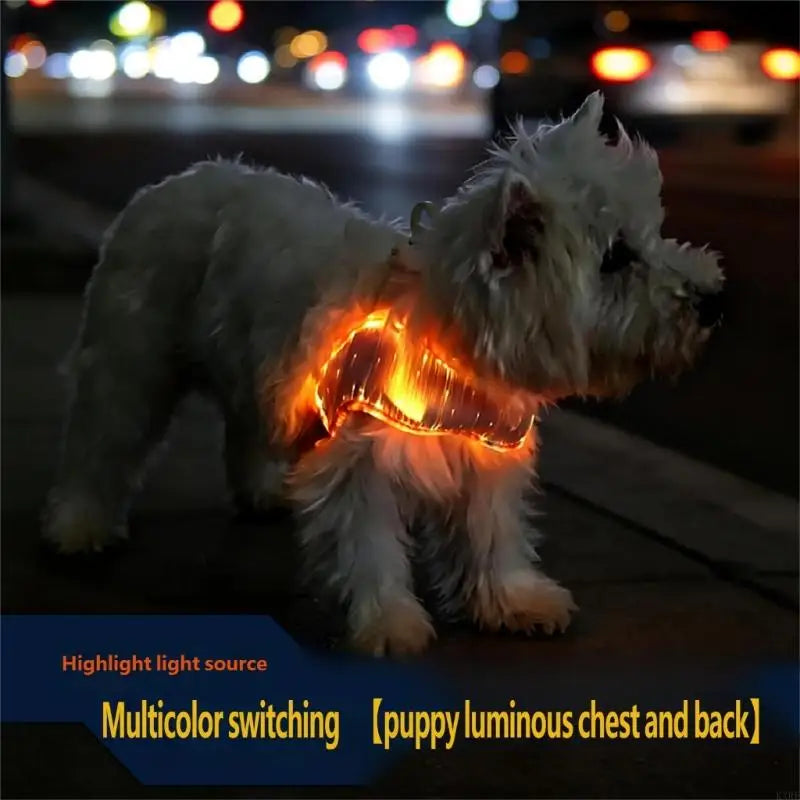 LED Dog Harness for Night Walks, Breathable Adjustable Pet Vest with LightingUp Panel and Top Clip Point for Daily Use KXRE