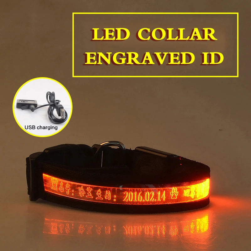 Dog Collars Personalized With Name/Phone Prevent Loss LED Night Safety Necklace Pet Collar Dog Small Puppy Cat Collar Para Perro