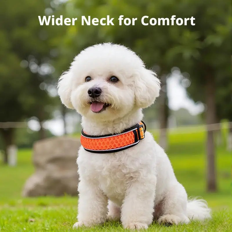 Dog Collar Nylon LED Night Safety Flashing Glow In The Dark Pet Dog Leash pet Dogs Luminous Fluorescent dog accessories collar