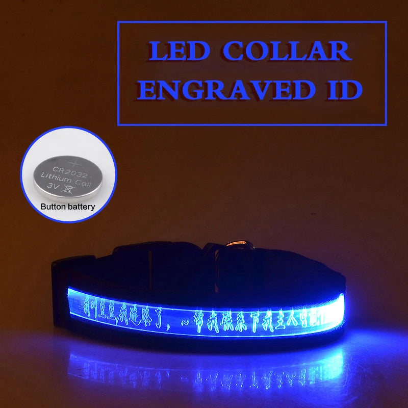Dog Collars Personalized With Name/Phone Prevent Loss LED Night Safety Necklace Pet Collar Dog Small Puppy Cat Collar Para Perro