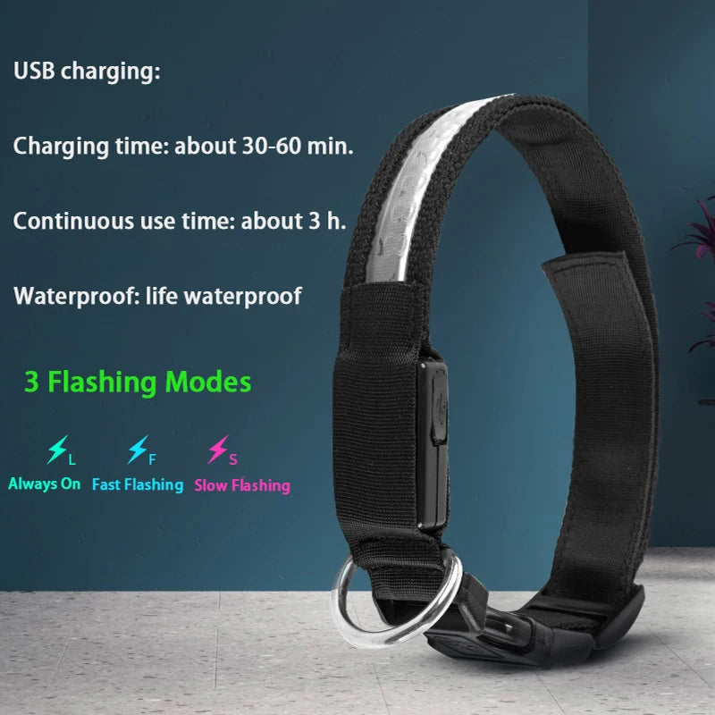 Dog Collars Personalized With Name/Phone Prevent Loss LED Night Safety Necklace Pet Collar Dog Small Puppy Cat Collar Para Perro