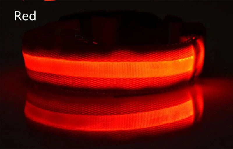 Dog Collar LED Light Electronic Night Safety Anti-Lost Nylon Adjustable Luminous Glowing Collar For Dogs Cats Pet Products Xs-XL