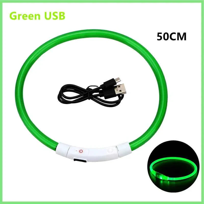 LED Pet Dog Collar for Night Safety | Bright USB Rechargeable