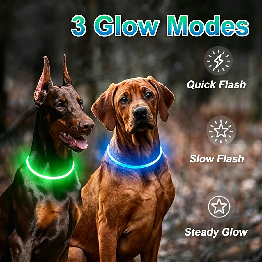 Dog Luminous Charge Collar Led Usb Cat Dogs Collars 3 Modes Detachable Night Led Glow Dog Loss Prevention Collar Pet Accessories