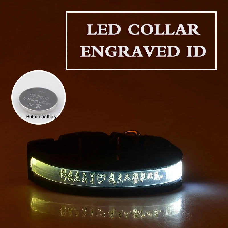 Dog Collars Personalized With Name/Phone Prevent Loss LED Night Safety Necklace Pet Collar Dog Small Puppy Cat Collar Para Perro