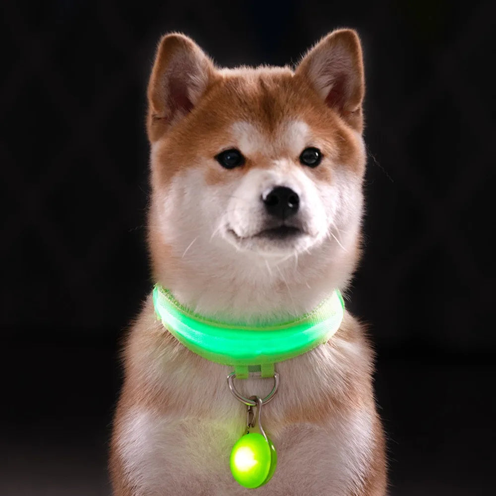 Usb Charging Glowing Dog Collar With Pendant Detachable Luxury Led Light Bright For Small Dogs Cat Night Safety Collar Wholesale