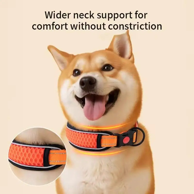 Dog Collar Nylon LED Night Safety Flashing Glow In The Dark Pet Dog Leash pet Dogs Luminous Fluorescent dog accessories collar