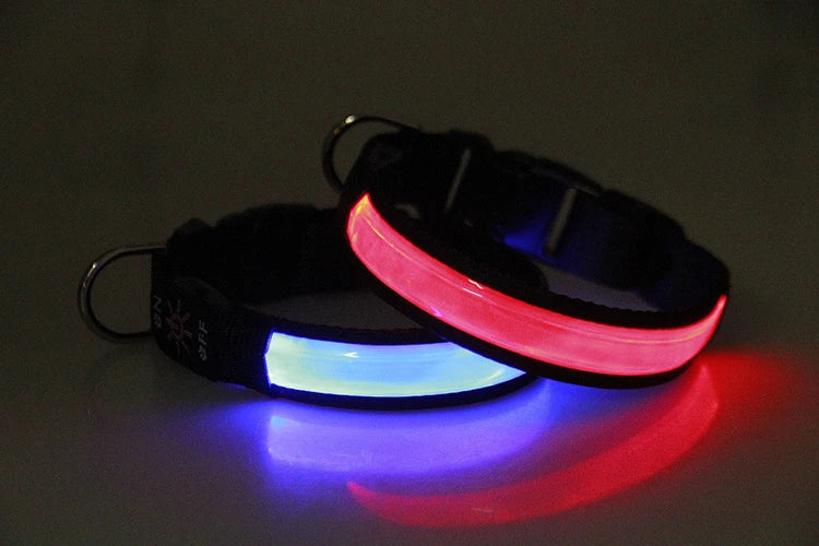 Pinkycolor USB Charging LED Dog Collar Luminous Light Night Safety Reflective Leather Glowing Collar For Dogs Pets Rechargeable