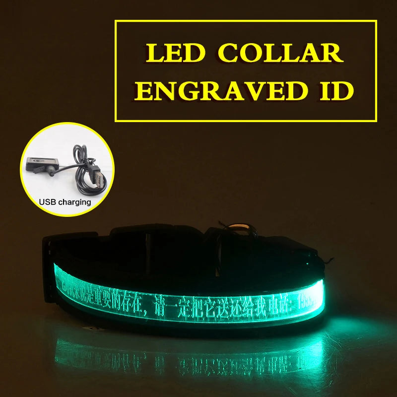 Dog Collars Personalized With Name/Phone Prevent Loss LED Night Safety Necklace Pet Collar Dog Small Puppy Cat Collar Para Perro
