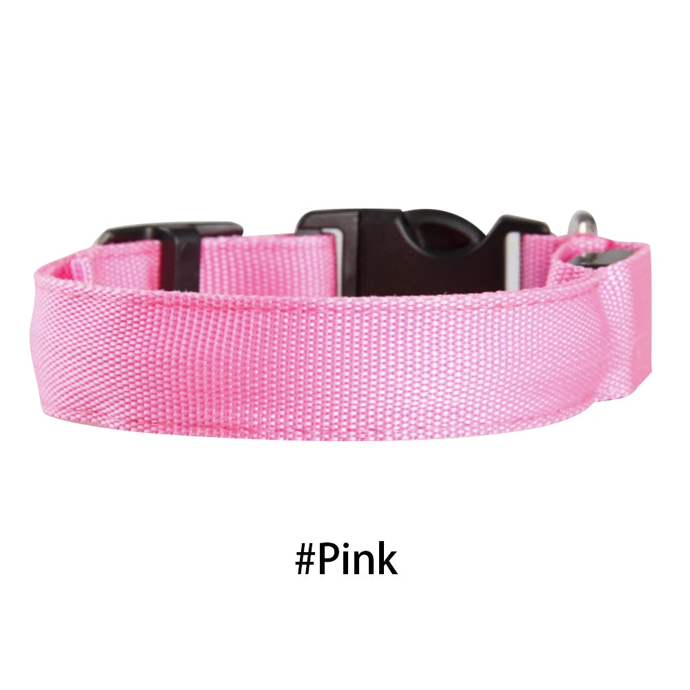LED Dog Collar Glowing Up Anti-lost Pet Products Night Safety Collars with Batteries Pet Necklace Glow Collar for Small Dogs Cat