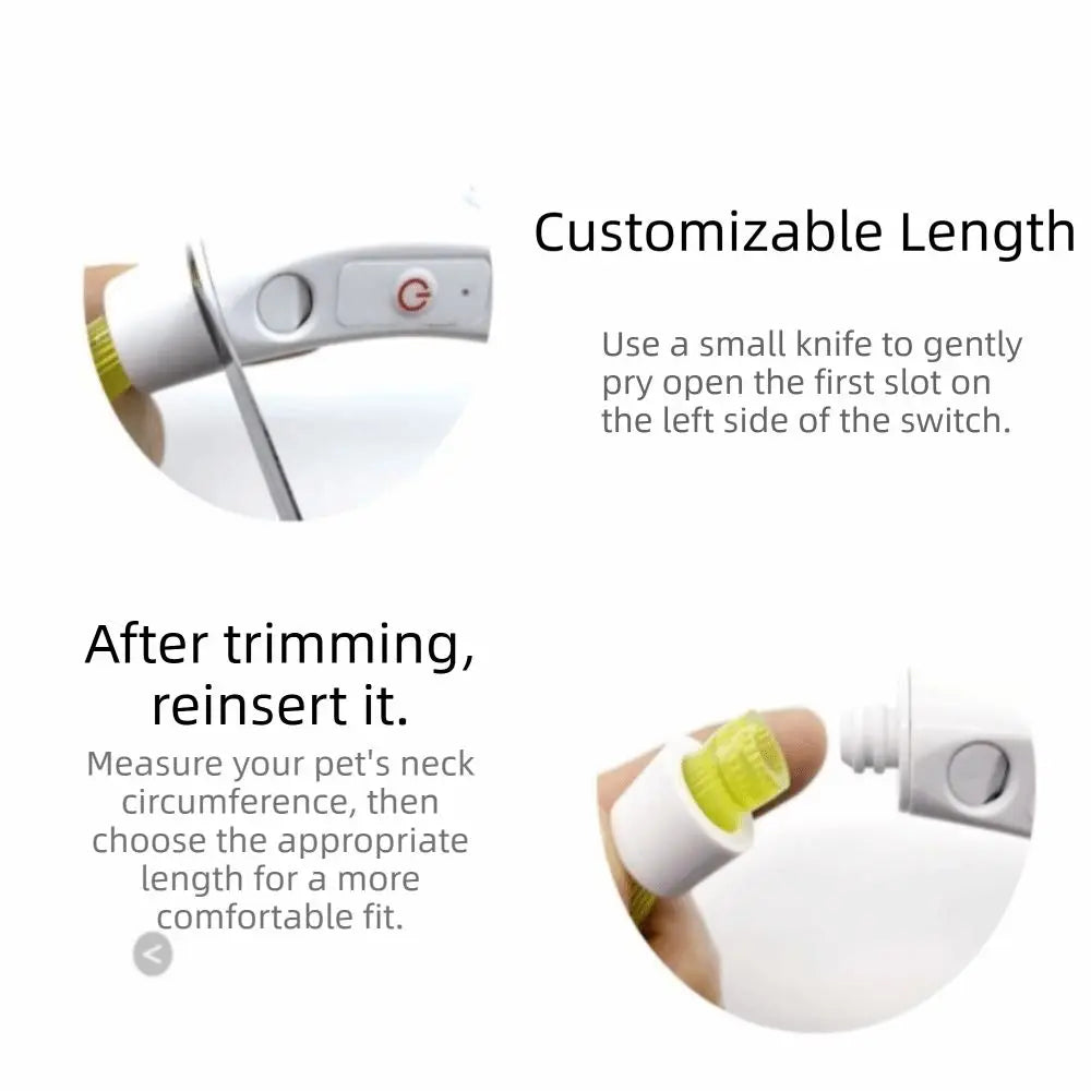 Adjustable Size LED Dog Collar Multi-Color Light Fiber Optic Material USB Rechargeable Collar PVC Material Detachable Pendant