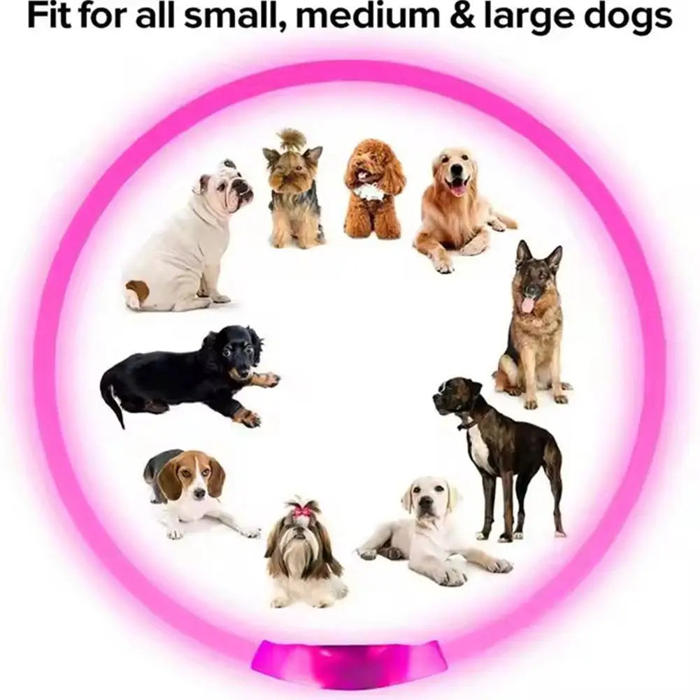 Pet Dog LED Light Collar Luminous Anti-Lost Dog Collar USB Rechargeable Dog Necklace Adjustable Collar Pet Safety Supplies