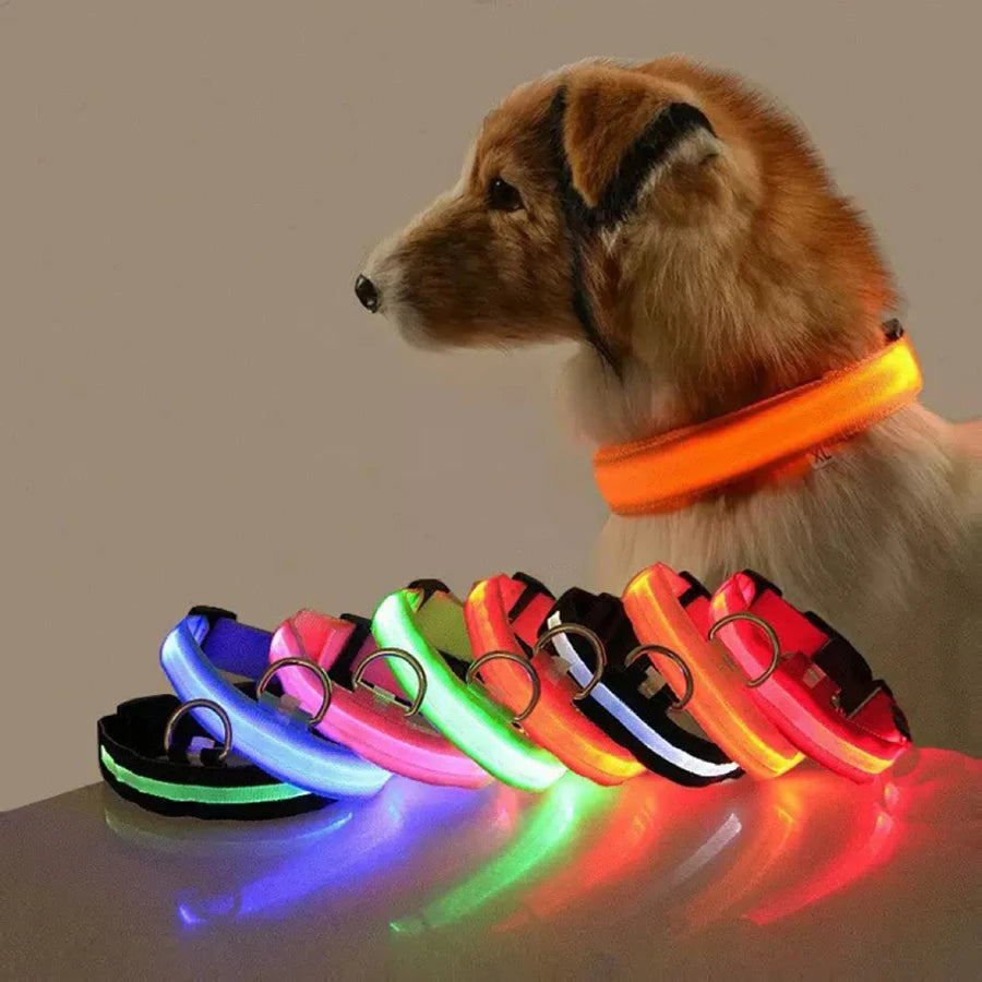 3 Modes Dog Luminous Charge Collar Led Usb Cat Dogs Collars Detachable Night Led Glow Dog Loss Prevention Collar Pet Accessories