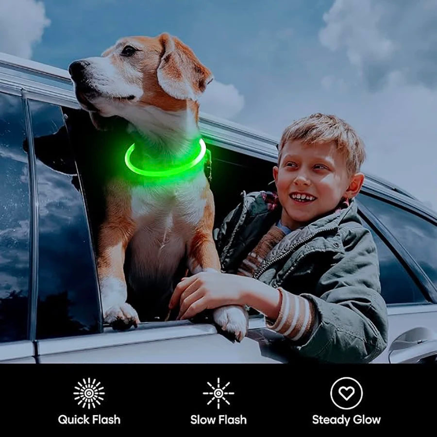 Dog Luminous Charge Collar Led Usb Cat Dogs Collars 3 Modes Detachable Night Led Glow Dog Loss Prevention Collar Pet Accessories