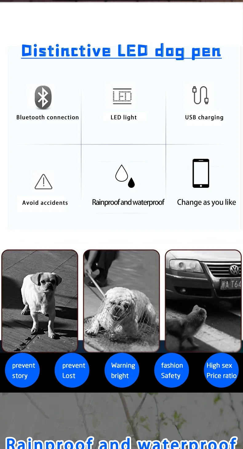 LED Light UP Dog Collar Bluetooth APP Programmable Message Scrolling LED Display Screen Pet Accessories Collar