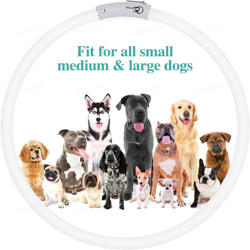 4 Modes Dog Luminou Charge Collar Led Usb Cat Silicone Colorful Collars Cuttable Night Glow Pet Loss Prevention Dogs Accessories