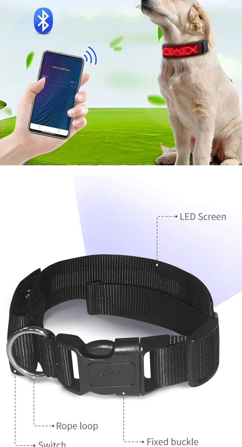 LED Light UP Dog Collar Bluetooth APP Programmable Message Scrolling LED Display Screen Pet Accessories Collar