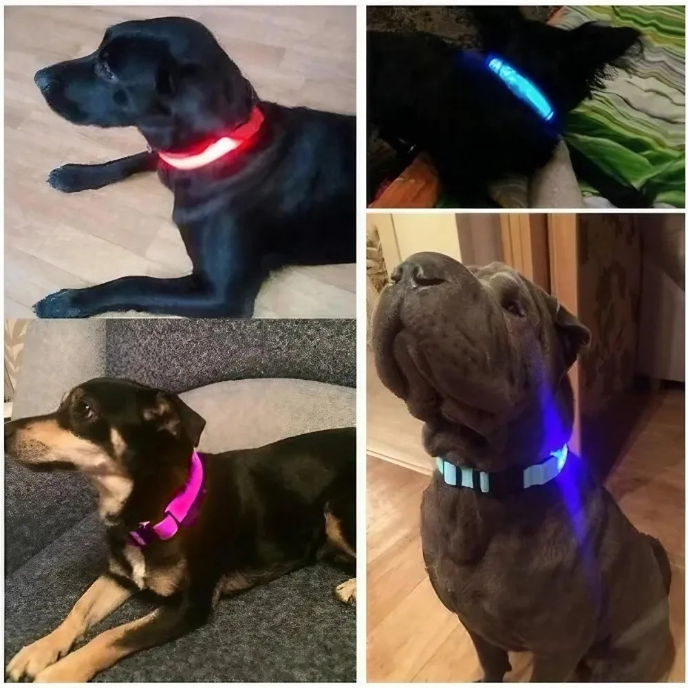 Nylon Reflective LED Dog Collar Light Up Pet Collar Dog Lights Night Walking Camping Supplies