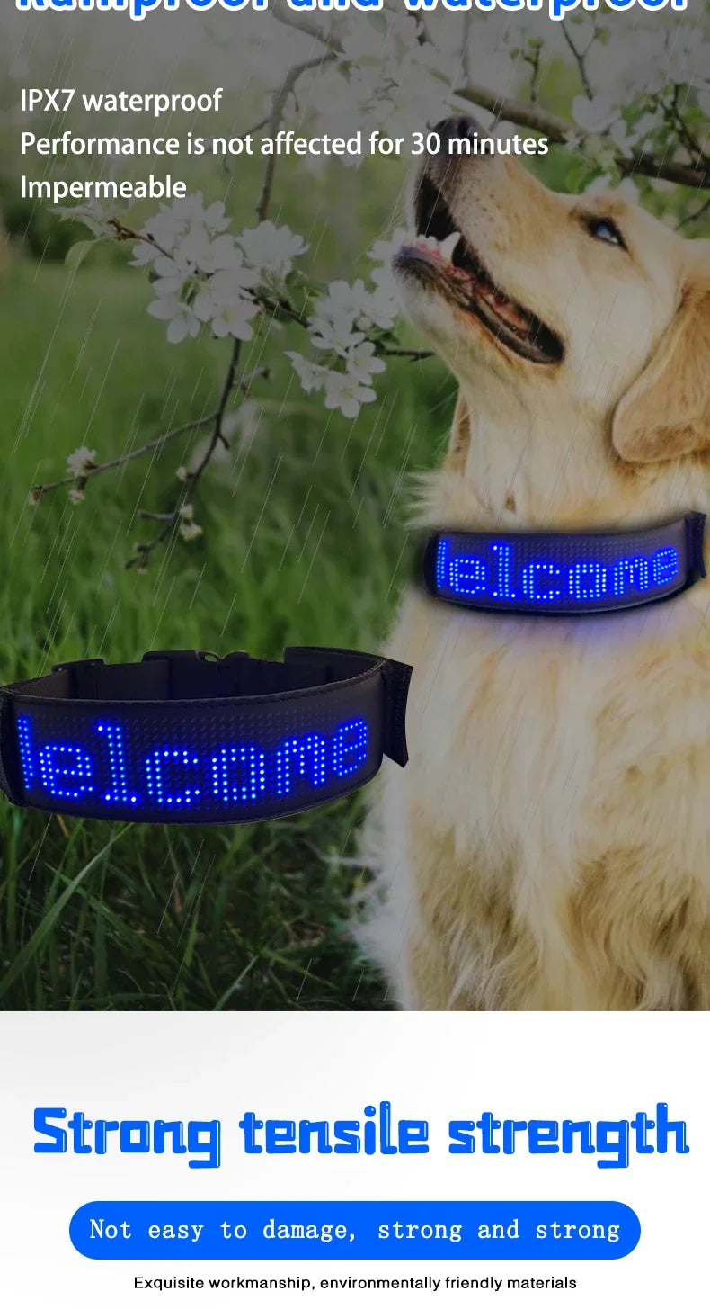 LED Light UP Dog Collar Bluetooth APP Programmable Message Scrolling LED Display Screen Pet Accessories Collar