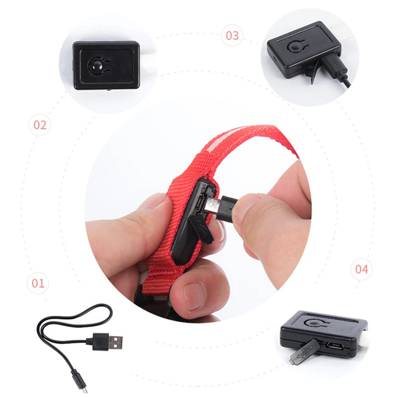 LED Luminous Collar Adjustable Glowing Dog Collar USB Rechargea  Flashing Anti-Lost/Avoid Car Accident Collar Dogs Pet Products