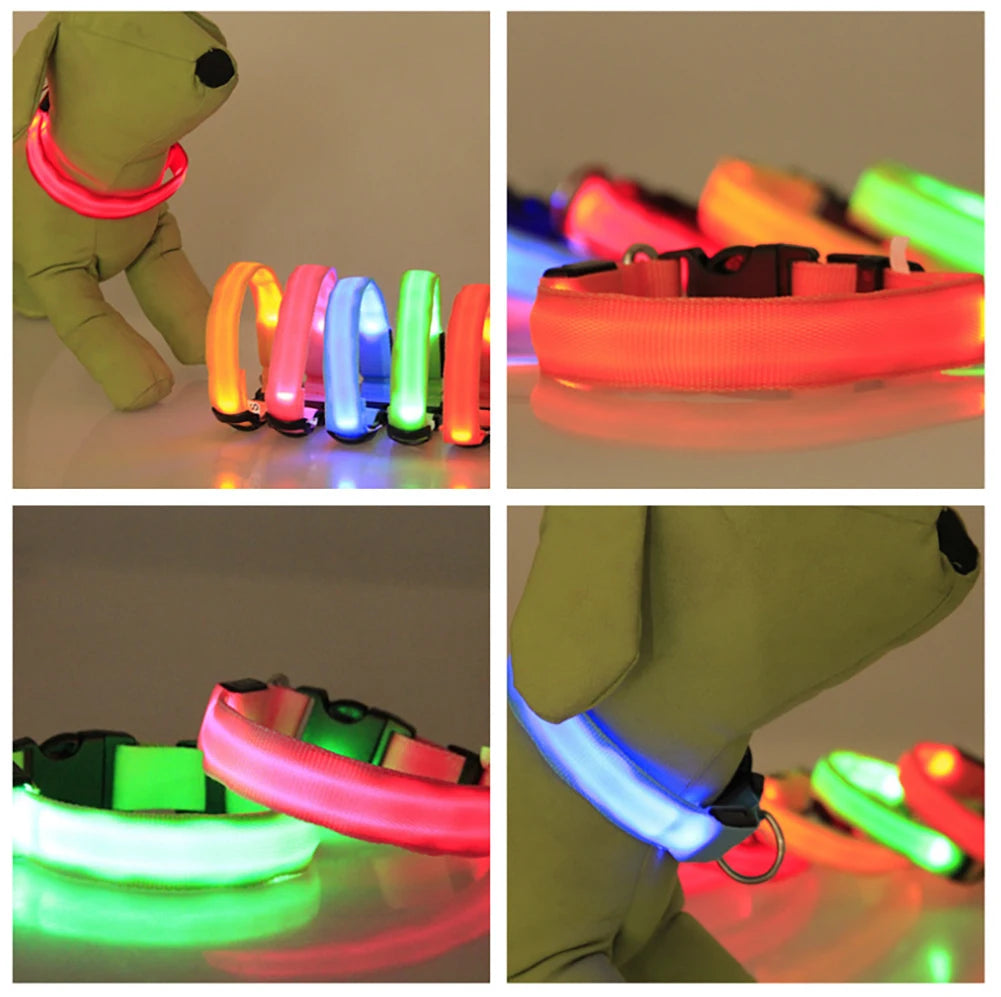 LED Dog Collar Glowing Up Anti-lost Pet Products Night Safety Collars with Batteries Pet Necklace Glow Collar for Small Dogs Cat