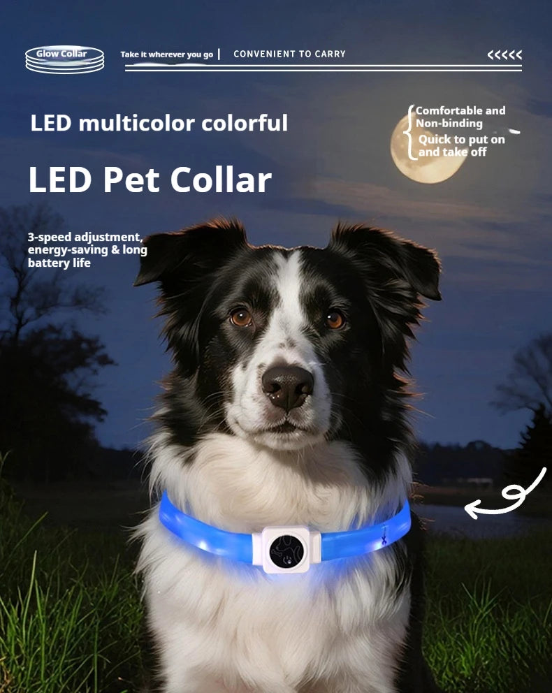 Led Pet Collar Type-C Charging Silicone Nighttime Luminous Ring Usb Dog Cat Collar Quick Flash Constant Light Slow Flash