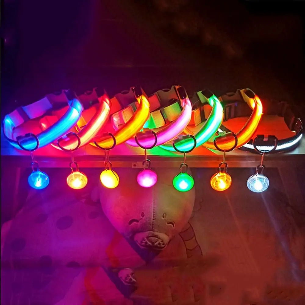 Usb Charging Glowing Dog Collar With Pendant Detachable Luxury Led Light Bright For Small Dogs Cat Night Safety Collar Wholesale