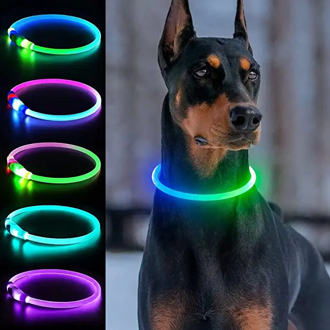 New Adjustable Led Glowing Pet Dog Collar PVC Waterproof  Anti Dirty Easy To Clean for Big Small Dogs Puppy Cat Luminous Collar