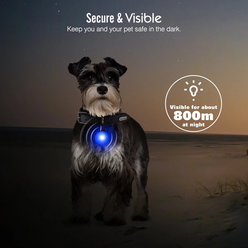 LED Luminous Collar Adjustable Glowing Dog Collar USB Rechargea  Flashing Anti-Lost/Avoid Car Accident Collar Dogs Pet Products